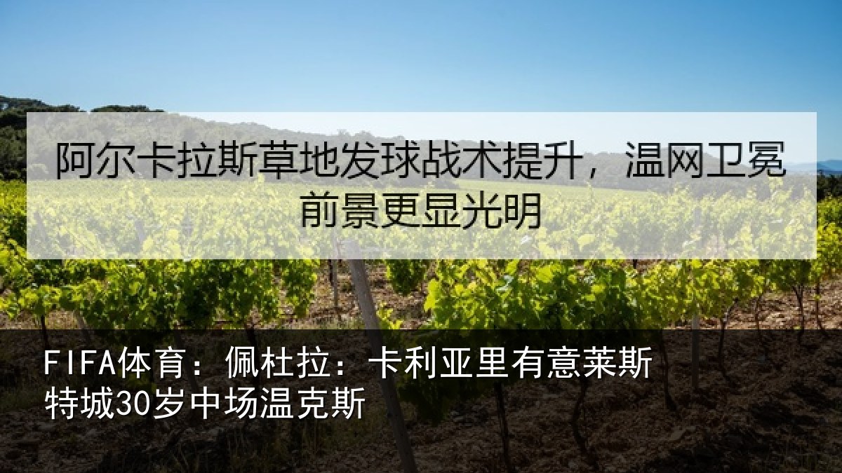 FIFA体育:佩杜拉:卡利相关情况30岁中场温克斯